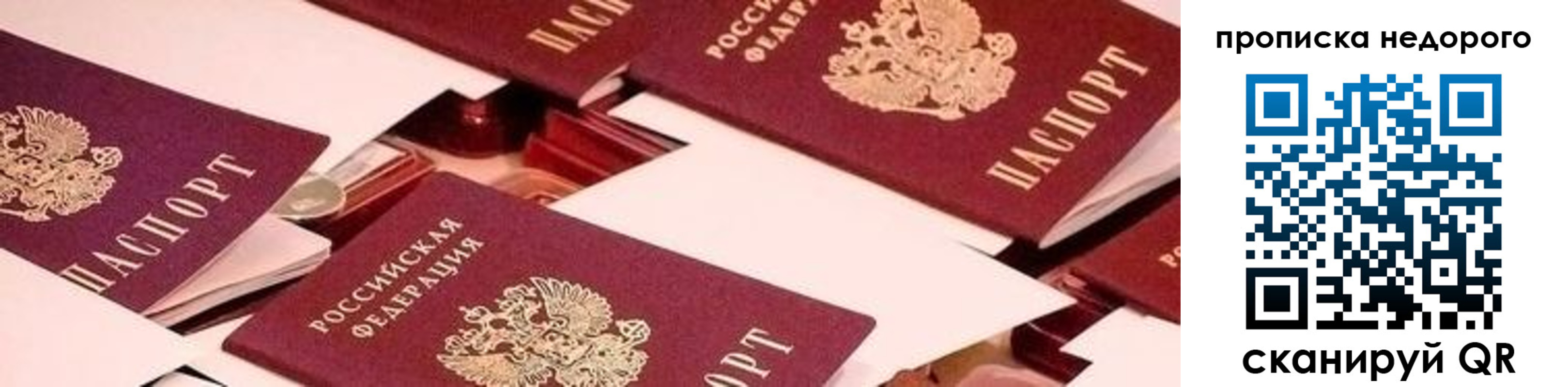 временная прописка в Курской области